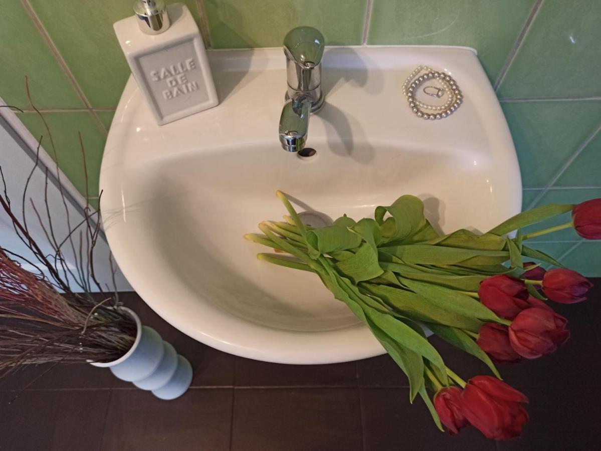 Apartmany Ziakova - Ubytovani Nove Hrady 111 Exteriör bild