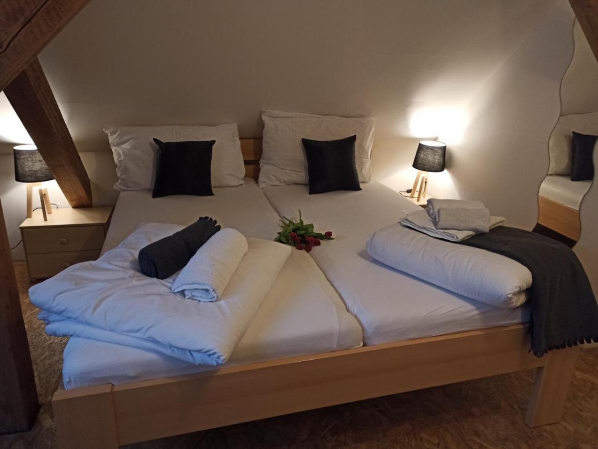 Apartmany Ziakova - Ubytovani Nove Hrady 111 Exteriör bild