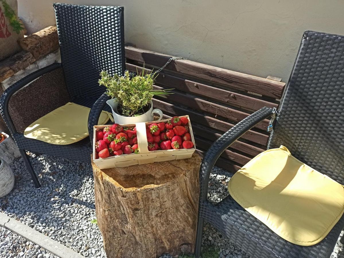 Apartmany Ziakova - Ubytovani Nove Hrady 111 Exteriör bild
