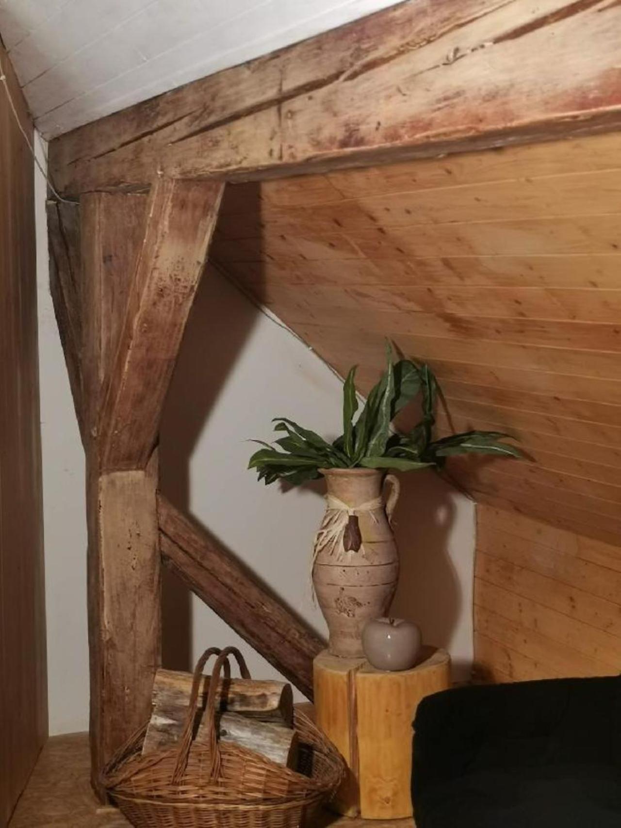 Apartmany Ziakova - Ubytovani Nove Hrady 111 Exteriör bild