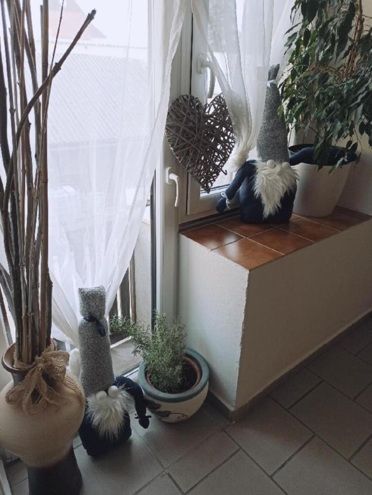 Apartmany Ziakova - Ubytovani Nove Hrady 111 Exteriör bild